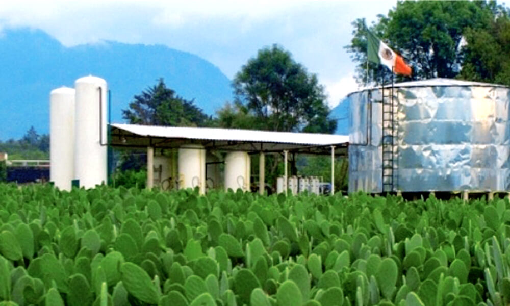 Planta de biogás Nopalimex