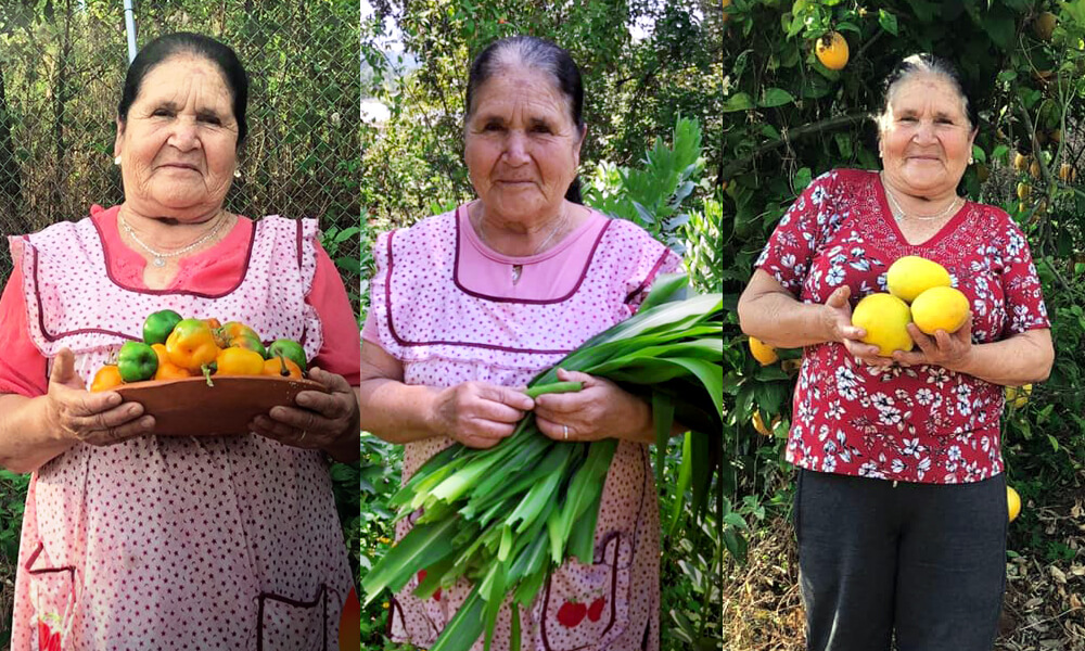 Doña Ángela usa ingredientes de su rancho para las recetas de su canal de Youtube