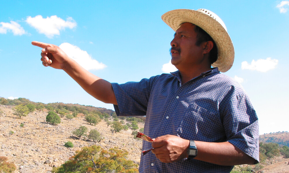 Jesús León Santos y el Centro de Desarrollo Integral Campesino de la Comunidad Mixteca
