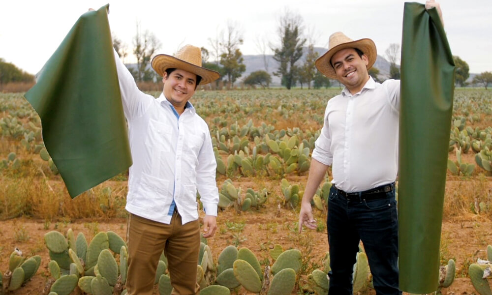 Marte Cázarez Duarte y Adrián López Velarde, socios fundadores de Desserto